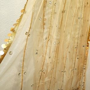 🌟 NEW Dupatta (shawl / scarf) GOLD with tikki and mirror work
